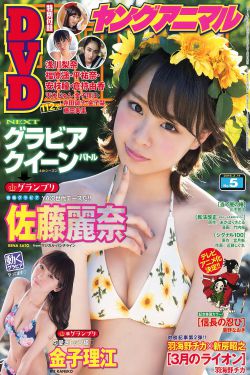 战至巅峰第三季2024免费观看