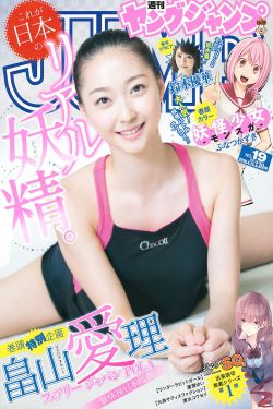 电视剧神圣使命